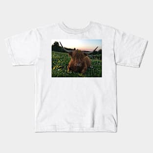 Scottish Highland Cattle Cow 2424 Kids T-Shirt